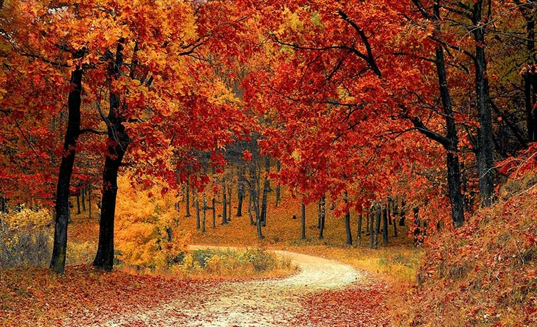 Herbst am Gardasee - Golf Hotel am Gardasee