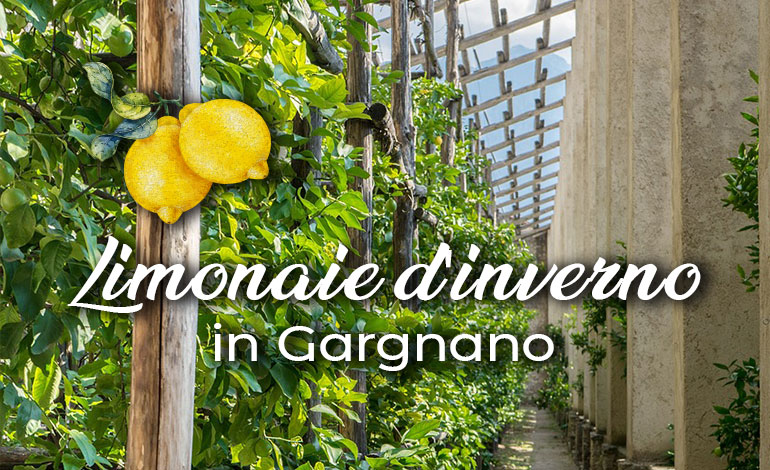 Limonaie Winterführung und Qualitätsmarkt in Gargnano - Golf Hotel am Gardasee